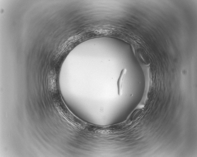 X0000054470408200508270134