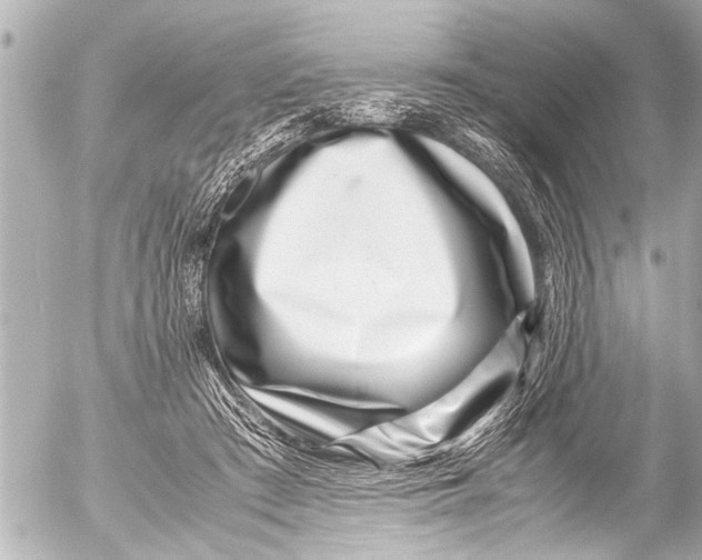 X0000054470409200508270134