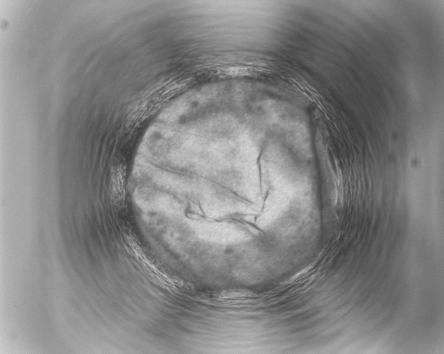 X0000054470410200508270134