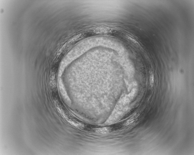 X0000054470411200508270134