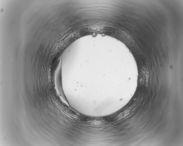 X0000054470412200508270134