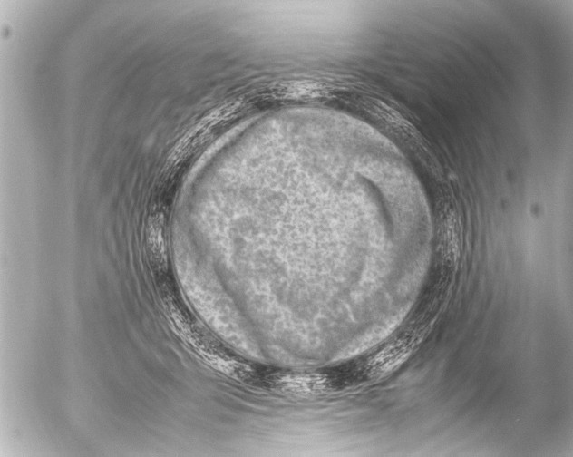 X0000054470415200508270134