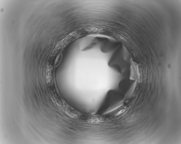 X0000054470416200508270134