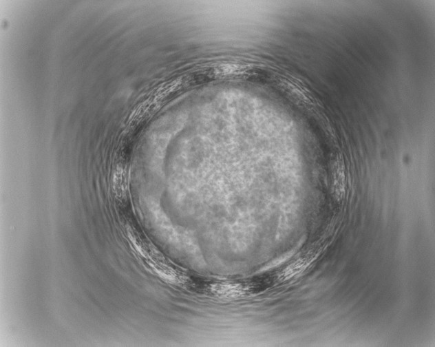 X0000054470419200508270134