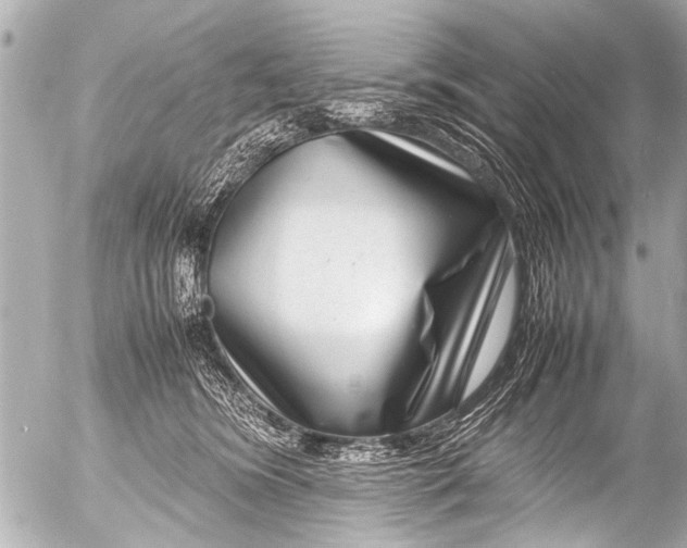 X0000054470420200508270134