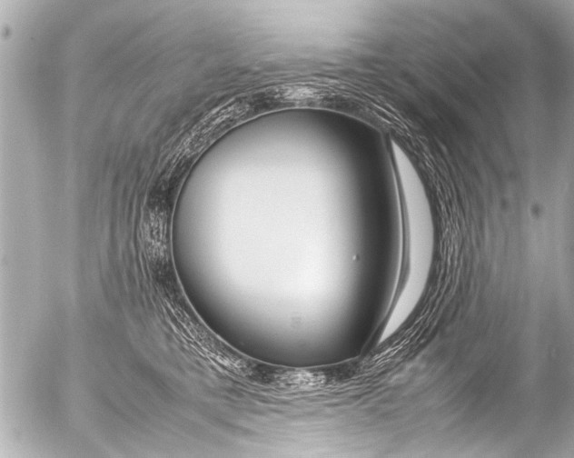 X0000054470421200508270134