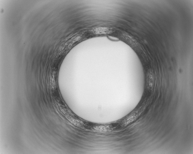 X0000054470422200508270134