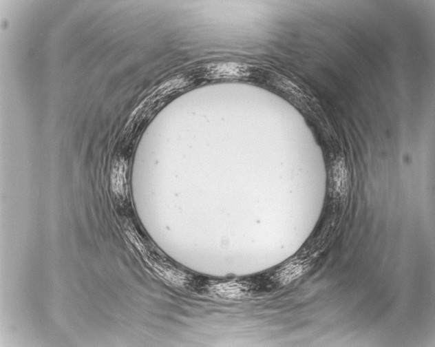 X0000054470423200508270134