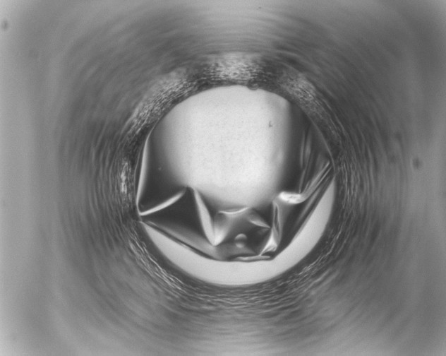 X0000054470424200508270134