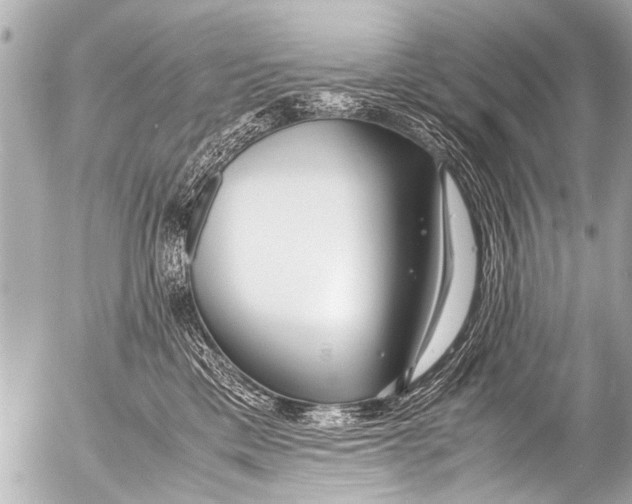 X0000054470425200508270134