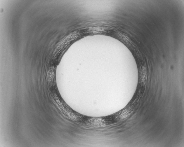 X0000054470427200508270134