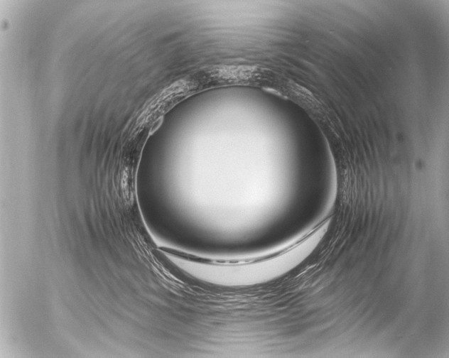 X0000054470428200508270134