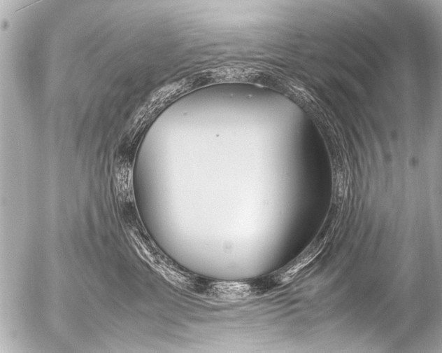 X0000054470429200508270134