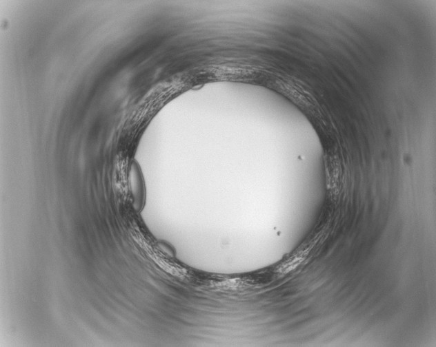 X0000054470430200508270134