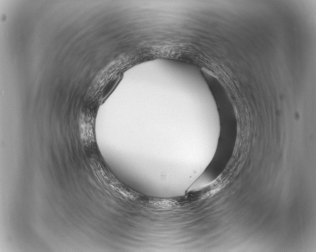 X0000054470432200508270134