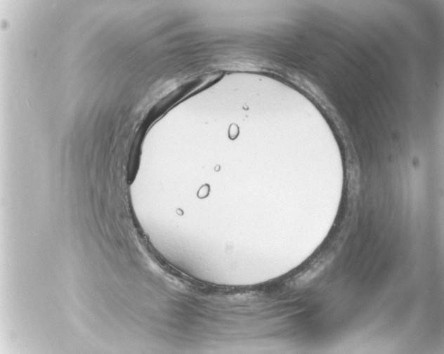 X0000054470433200508270133