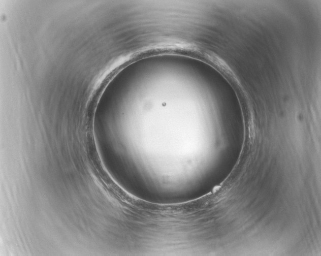 X0000054470436200508270133