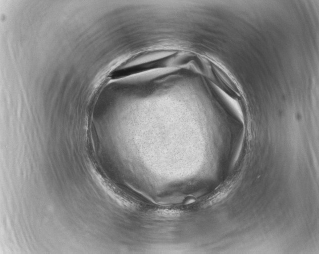 X0000054470437200508270133