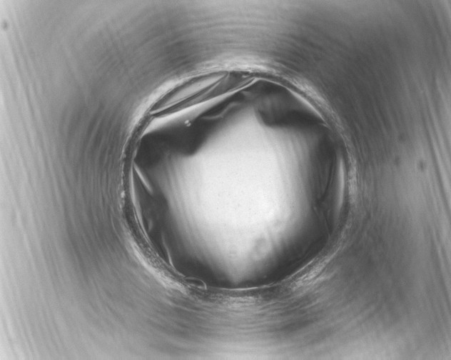 X0000054470438200508270133