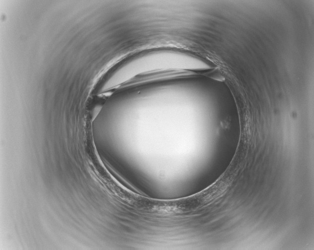 X0000054470440200508270133