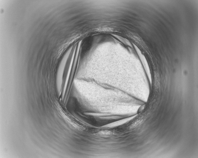 X0000054470441200508270133