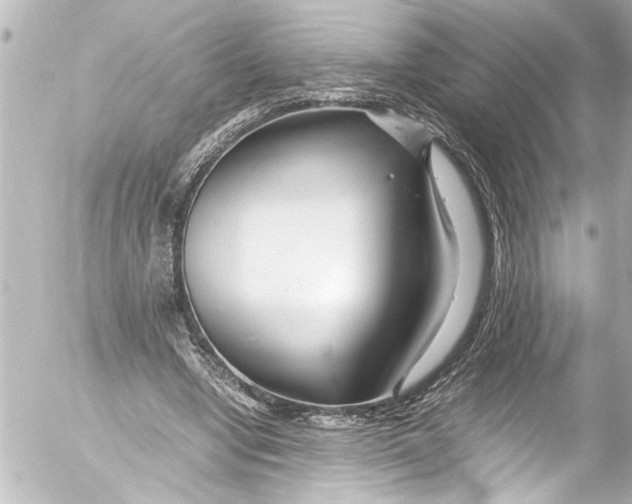 X0000054470442200508270133