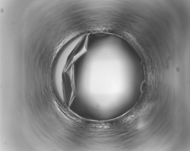 X0000054470443200508270133