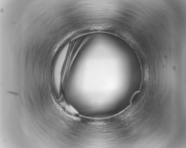 X0000054470444200508270133