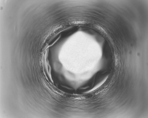 X0000054470447200508270133