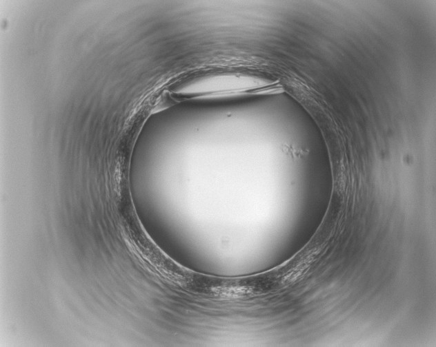 X0000054470448200508270133