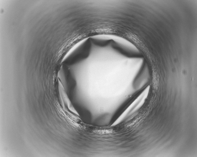 X0000054470449200508270133