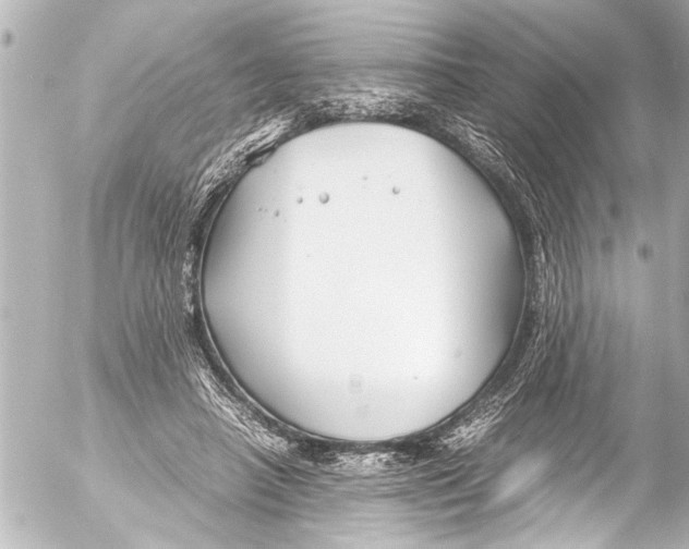 X0000054470450200508270133