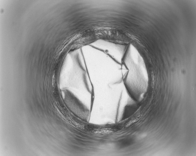 X0000054470451200508270133