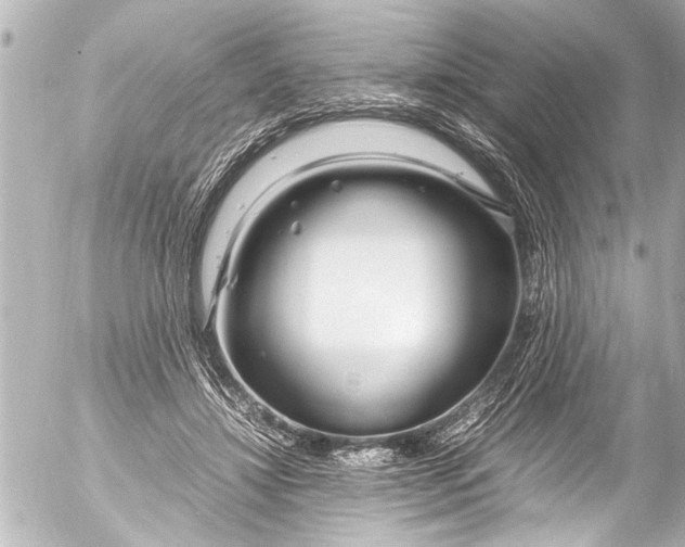 X0000054470452200508270133