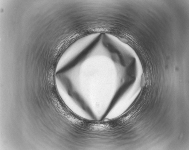 X0000054470453200508270133