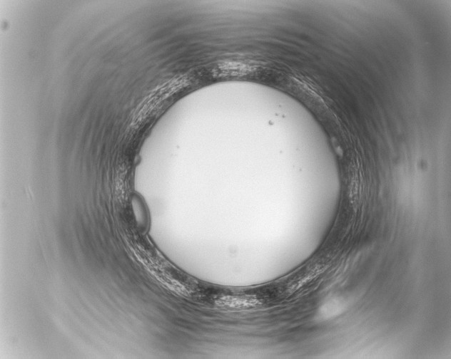 X0000054470455200508270133