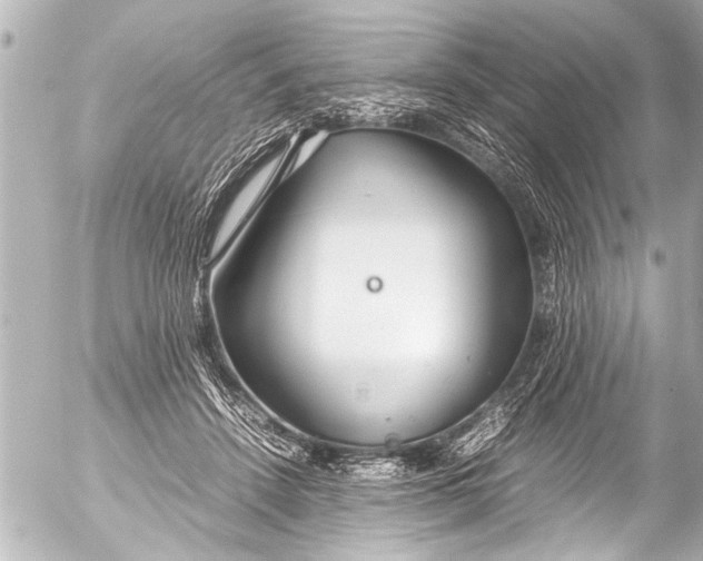 X0000054470456200508270134