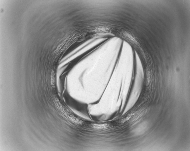 X0000054470457200508270134