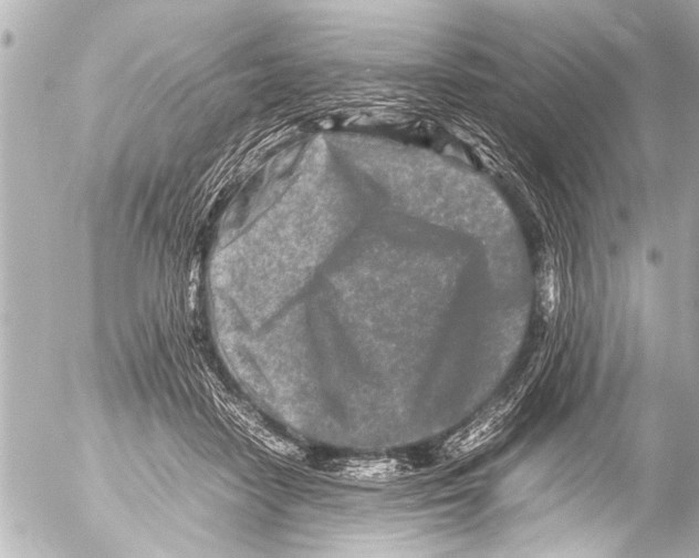 X0000054470458200508270134