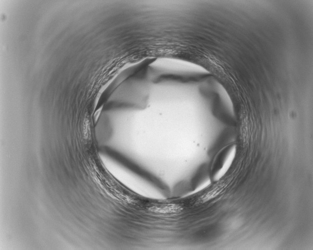 X0000054470459200508270134