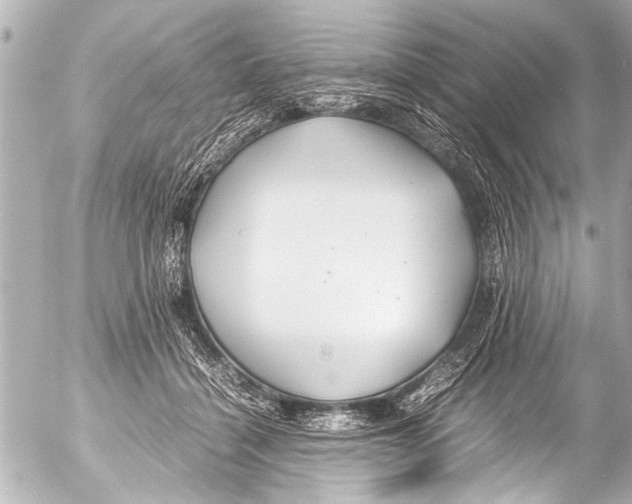 X0000054470460200508270134