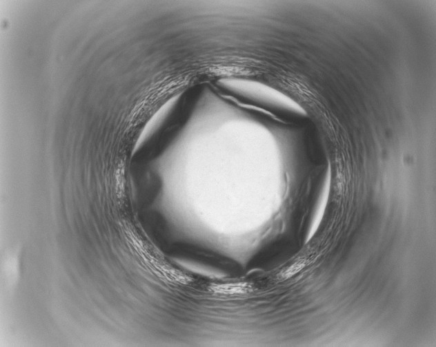 X0000054470461200508270134