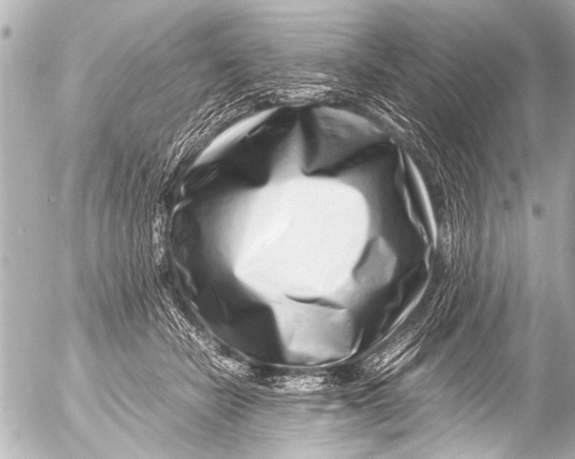 X0000054470462200508270134