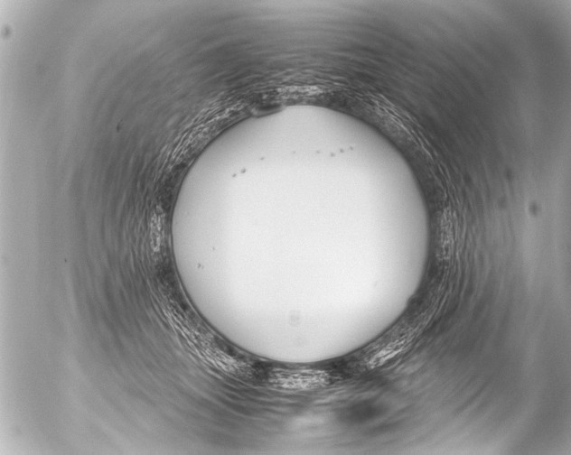 X0000054470463200508270134