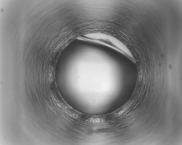 X0000054470464200508270134