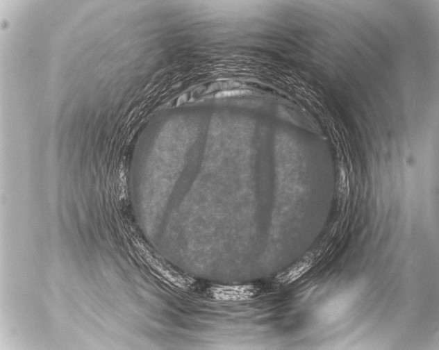 X0000054470465200508270134