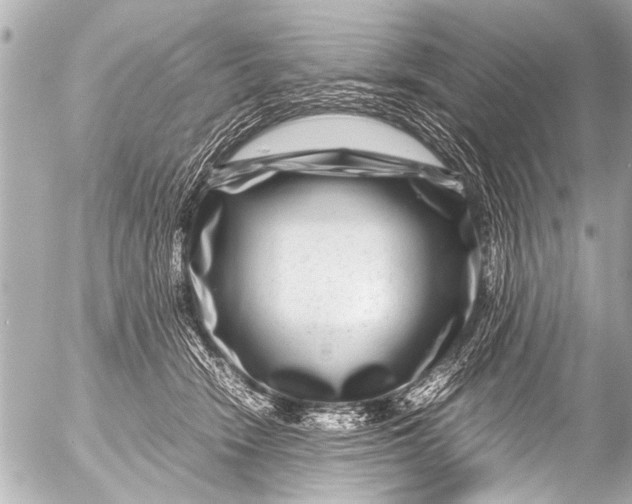 X0000054470466200508270134