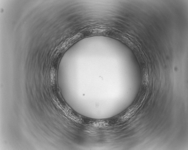 X0000054470468200508270134