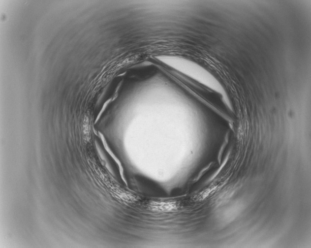 X0000054470469200508270134