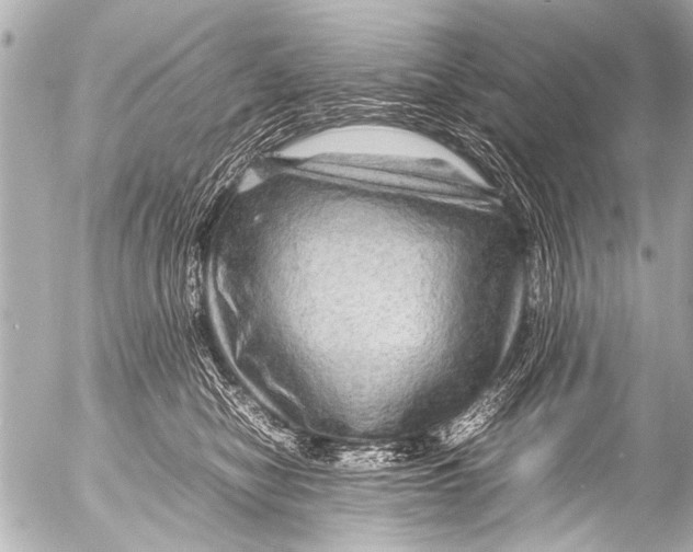 X0000054470470200508270134